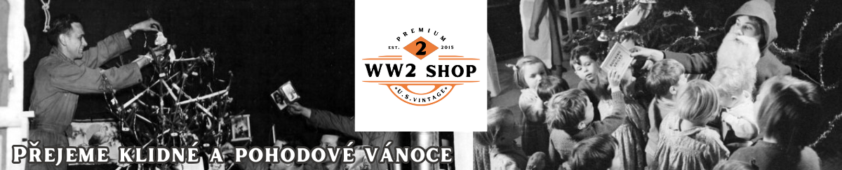 12_2 Vánoční motiv